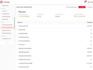 Mẫu báo cáo lưu chuyển tiền tệ