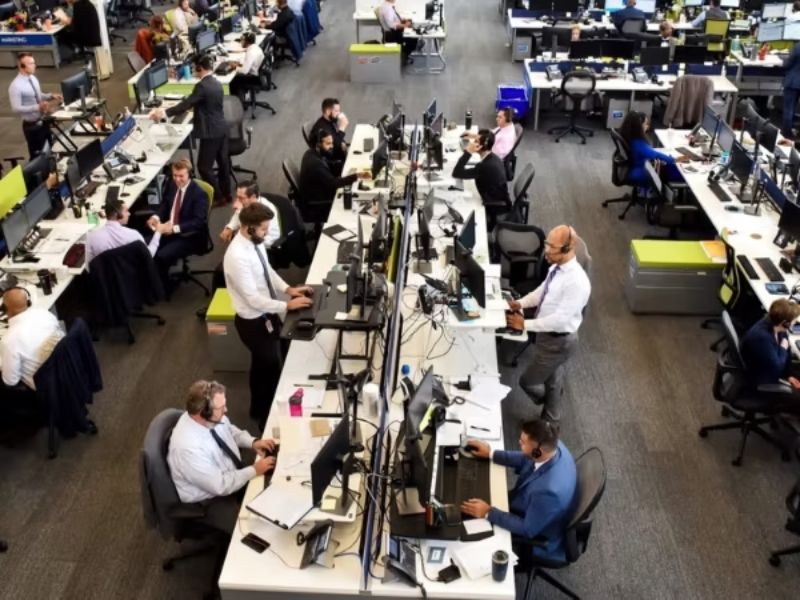 Quy mô doanh nghiệp và số lượng người dùng