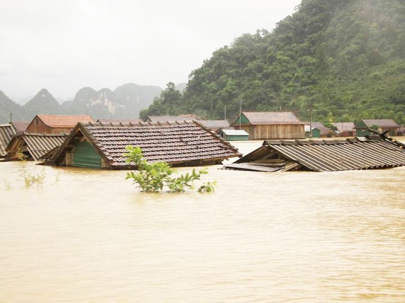 Xưởng gặp sự cố thiên tai