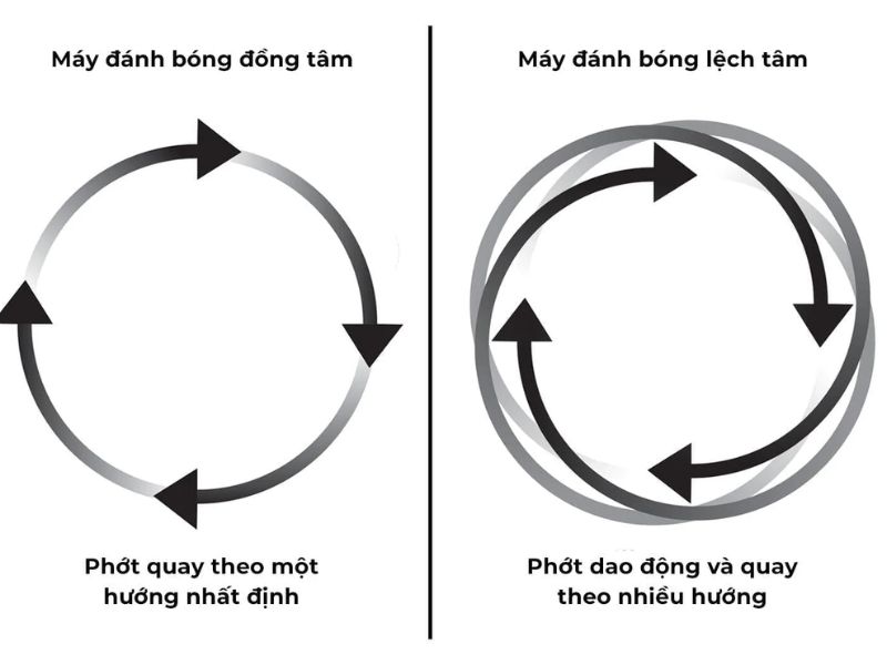 Cơ chế chuyển động
